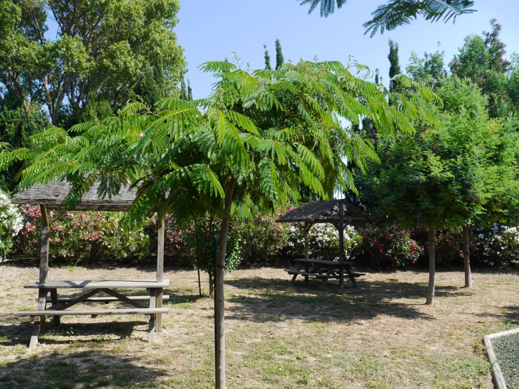 Fantassia Amusement Park Picnic Areas