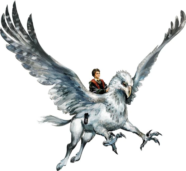 Harry Potter riding the hippogriff, Fantassia amusement park