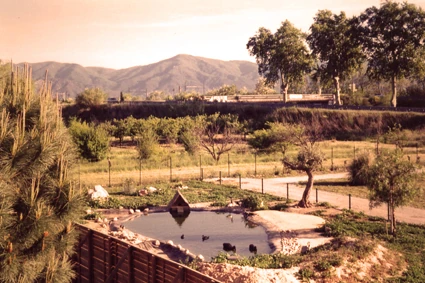 Old duck pond at the lost island attraction , Fantassia leisure park